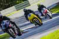 Lower Group Yellow Bikes